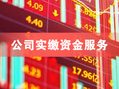 台山公司实缴资金服务
