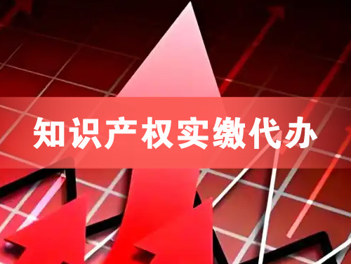 台山知识产权实缴资本代办